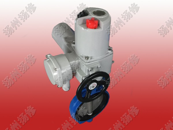 Electric butterfly valve with pair clamp