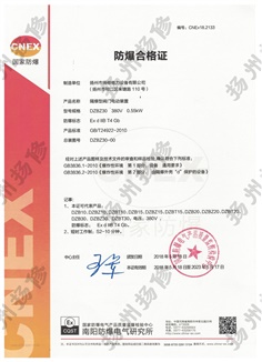 CNEx18.2133