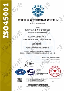 20223S20189R0S-20230516152357证书中文S45001带标(1)